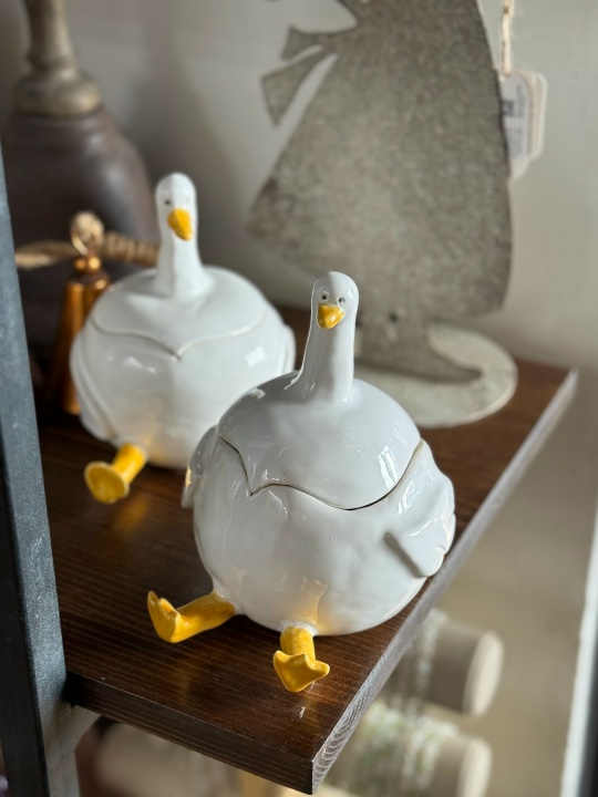 Баночка «Гусь-обнимусь» (13+) фото 6